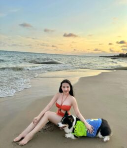 top 15 giống chó đẹp nhất thế giới
