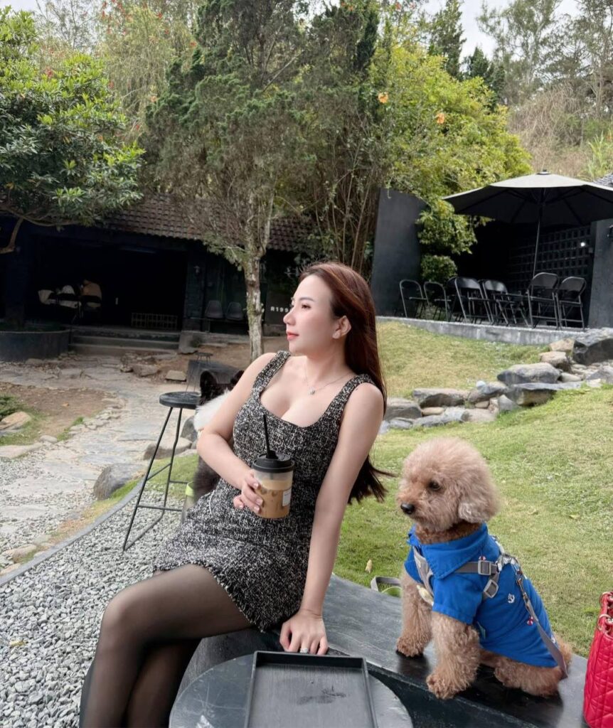 Top các món ăn của mèo và chó